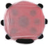 Cat Ferret Play Mat Indoor Funny Activity Exercise Tent Hanging Toy Hideout Bed for Small Animal Rodent, Sugar Glider