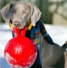 Jolly Pets Safe Tug-N-Toss Ball for Dogs