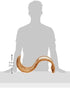TRIXIE Pet Products Scratching Wave, Brown, 11.25 x 19.5 x 7 in.