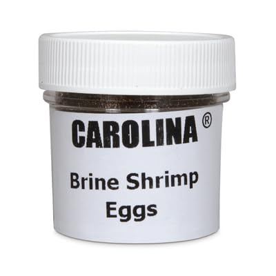 1 Oz Brine Shrimp (Artemia) Eggs