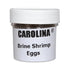 1 Oz Brine Shrimp (Artemia) Eggs