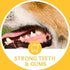 30 Pack, 100% 30 Beef Cow Tails for Dog Chews, High Protein Dog Treats, Natural Pet Treats, Long Lasting Chew for Dogs