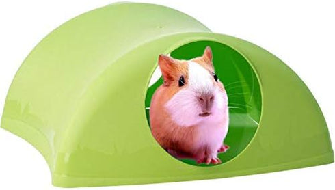 Lixit Critter Hollow Igloo Hidaway Home for Guinea Pigs, Chinchillas, Rats, and Other Small Animals, Assorted