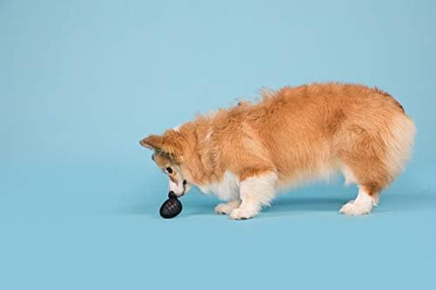 Barkbox Super Chewer Tough Dog Chew Toys for Aggressive Chewers, Treat Dispensing (Origin - Small)
