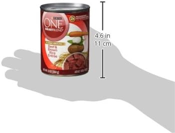 (Pack 12) 13 oz. Purina ONE Classic Ground Beef and Brown Rice Entree Adult Wet Dog Food - of Cans