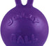 Jolly Pets Tug-n-Toss Heavy Duty Dog Toy Ball with Handle, 4 Inches/Petite, Purple (404 PR)
