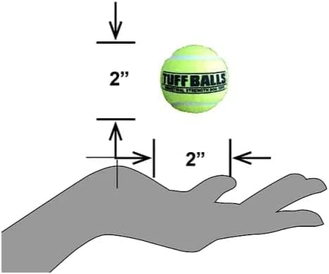PetSport Yellow Tennis Ball Dog Toys, 12 Pack Small (1.8") Durable Felt & Rubber Balls for Fetch