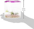 Lee's Round Betta Keeper - Ideal Habitat for Betta Fish