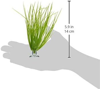Marina Betta Kit Plastic Plant, Hairgrass by Marina