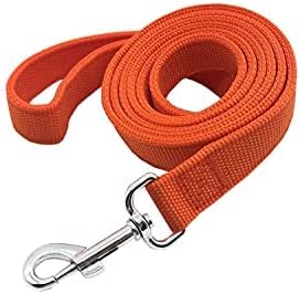 Strong Nylon Dog Leash, 4 FT/ 6 FT/ 7FT Long, 1 Inch Wide for Medium Large Dogs (Orange, 1'' x 2 FT)