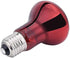Pet Supplies 100w Infrared Heating Lamp 2 Pack, 110v E27 Basking Spot Light Bulbs for Reptiles and Amphibians