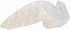 Professional Sport Mouth Guards - 2 Pack, No BPA, Safe Clear Color, Custom Fit, Free Carrying Case