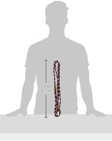 Mendota 3/8" by 6' Slip Lead, Small, Pride