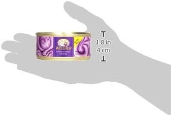 Wellness Cat Food Turkey & Salmon, 5.5 Ounce