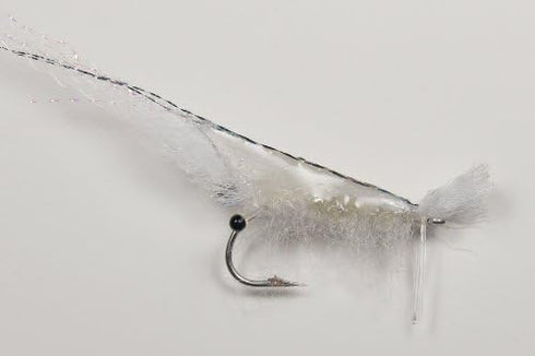 239 Flies Enrico Puglisi Grass Shrimp - Transparent - Size 1