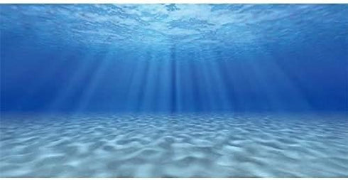 AWERT Undersea Theme Aquarium Background, Sunshine Underwater World 36x18 inches
