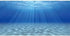 AWERT Undersea Theme Aquarium Background, Sunshine Underwater World 36x18 inches