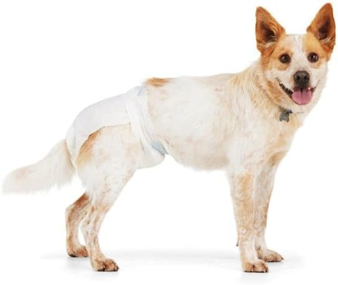 Count 12 So Phresh by Petco Leak Guard Disposable Pet Diapers Large/X-Large