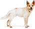 Count 12 So Phresh by Petco Leak Guard Disposable Pet Diapers Large/X-Large