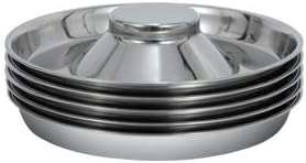 Stainless Steel Puppy Kitten Dish, Whelping Weaning Dishes Feeder, 11.8inch (2 Pack)