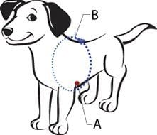 Sense-ible No-Pull Dog Harness, Black, Small