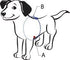 Sense-ible No-Pull Dog Harness, Black, Small