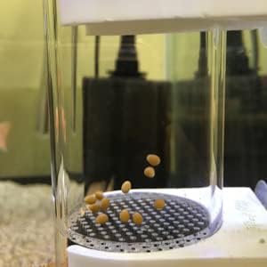 Senzeal Aquarium Fish Egg Incubator Tumbler for Cichlids Fish Hatchery, Mouth-Brooding 40mm