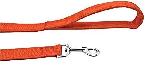Strong Nylon Dog Leash, 4 FT/ 6 FT/ 7FT Long, 1 Inch Wide for Medium Large Dogs (Orange, 1'' x 2 FT)