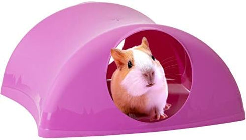 Lixit Critter Hollow Igloo Hidaway Home for Guinea Pigs, Chinchillas, Rats, and Other Small Animals, Assorted