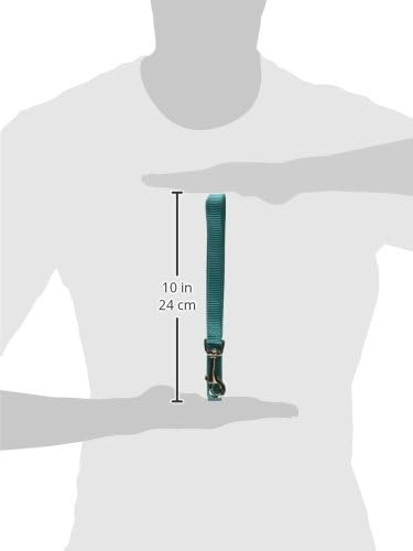 Hamilton Pet & Equine 4-Feet Long Single Thick Deluxe Nylon Lead with Swivel Snap, 5/8-Inch, Teal