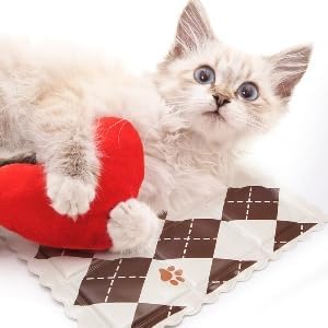 Pet Cooling Pad, Summer Dog House Cat Sleeping Mat, Dog and Cat Cooling Gel Pad, Dirty and Cool Feeling Resistant