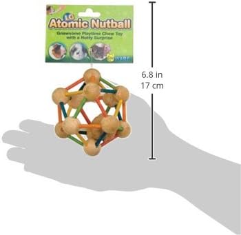 (3 Pack) Ware Manufacturing Wood Atomic Nut Ball Pet Toys for Small Pets - Large Size