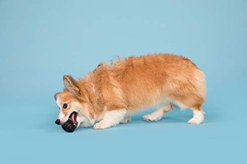 Barkbox Super Chewer Tough Dog Chew Toys for Aggressive Chewers, Treat Dispensing (Origin - Small)