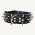 Stylish Sharp Spiked Studded Leather Dog Collar, 2 Inch Width for Medium & Large Dogs (Black, L)