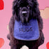 Personalized 'Free HUGS' Dog Bib for Dogs: Handmade, Waterproof Backing, Washable & Durable, Pups to Adults Sizes