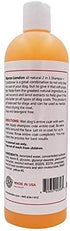Warren London 2 in 1 Pet Shampoo and Conditioner for Dogs, Puppies, & Cats - Best for Dry Itchy Skin - Made in USA, 17oz