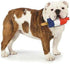 Dog Toy Rocket Pop Ice Cream - Popsicle Shaped Frozen Water Summer Toys, Mini