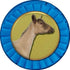 10.5" Crown Awards Personalized Winner Dairy Goat Trophies - Gold Dairy Goat Starburst Trophy Prime