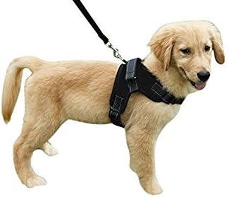 Heavy Duty Dog Harness and Leash Set, Adjustable Reflective No-Pull Padded Vest for Dogs