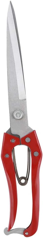 Professional Stainless Steel Sheep Shear: Heavy Duty Safety Sheep Wool Scissor for Grooming Dogs, Cats, and Sheep