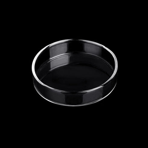 Aquarium Glass Feeder Dish, Round Clear Glass Fish Feeding Bowl, 60mm, Prevents Food Spilling in Fish Tank