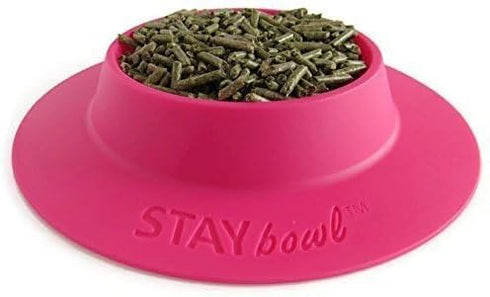 Tip-Proof Bowl for Guinea Pigs and Other Small Pets - Fuchsia (Pink), Large 3/4 Cup Size