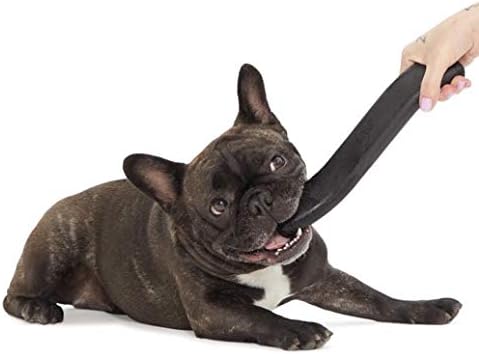 Barkbox Super Chewer Tough Fetch Toy for Aggressive Chewers - Durable Rubber & Nylon for All Dog Sizes