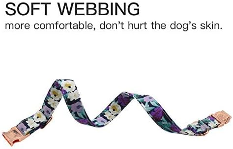 Durable Adjustable Metal Buckle Dog Collar, Soft for Small Medium Large Dogs