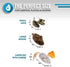 OurPets Play-N-Squeak Mouse Hunter Cat Toys (Interactive Cat Toy & Catnip Toy with Real Mouse Electronic Sound) Perfect
