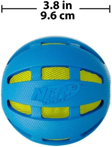 Nerf Dog 3.8in Rubber Checker Crunch Ball – Blue with Green Crunch Bag