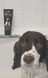 Watermans Pet Wash for Dogs & Cats, Best Dog Shampoo for Skin and Coat Problems, UK Made
