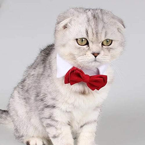 Selected Adjustable Dog Bow Tie - Puppy Pet Costume Collar, Formal Bowtie for Dogs & Cats, Red