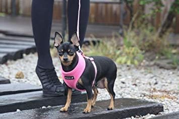 Puppia Soft Dog Harness, No Choke, Adjustable Chest Belt, Quick-Release Buckle, Brown, XX-Large