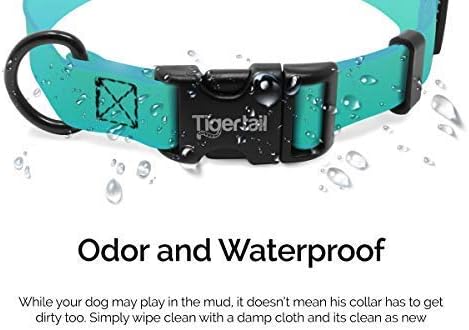 Urban Nomad Dog Collar - Waterproof, Odor Proof, Durable, Anti-Mat & Lightweight - Premium Coated Nylon - Teal, Medium